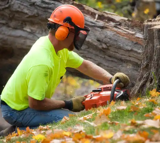 tree services Keuka Park